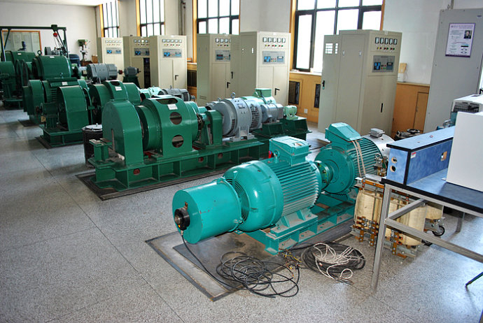 合作某热电厂使用我厂的YKK高压电机提供动力